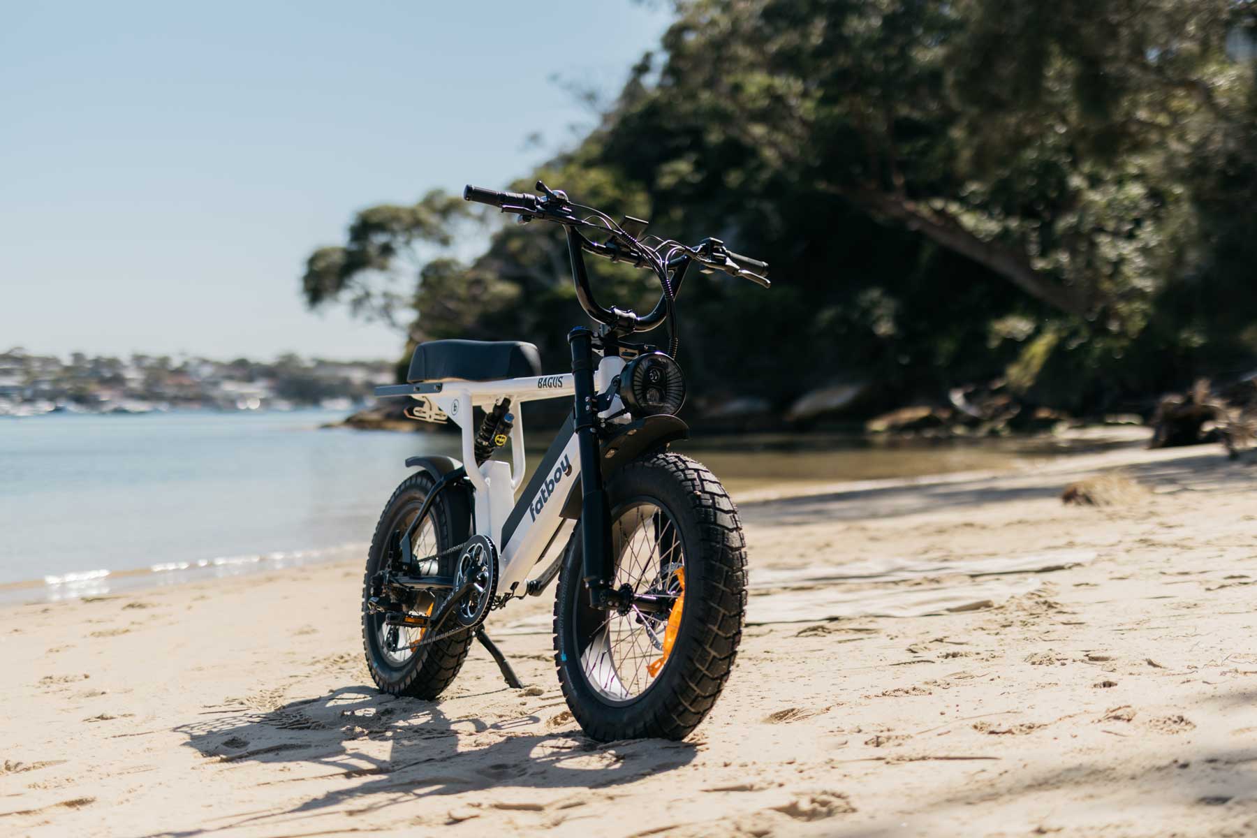 Electric fatboy bike online